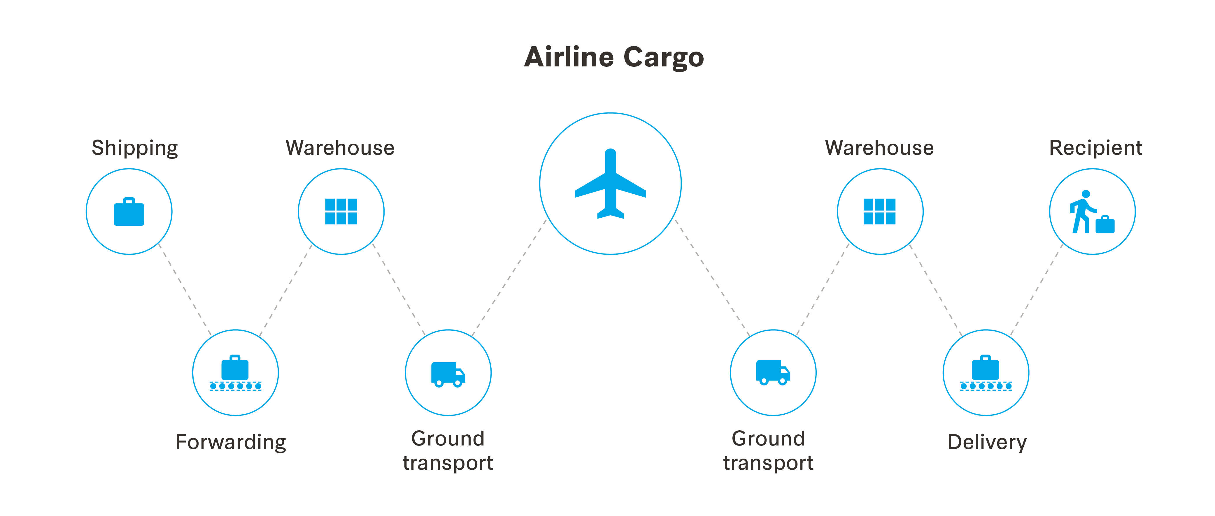 Cargo Services and Baggage Tracking